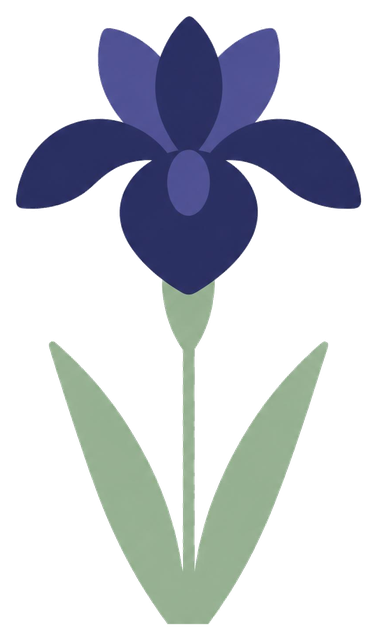 The Undiagnosed Toolkit iris · for the long search illustration